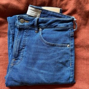 Everlane Curvy High-Rise Skinny Jean in Mid Blue